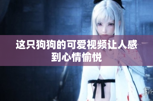 这只狗狗的可爱视频让人感到心情愉悦