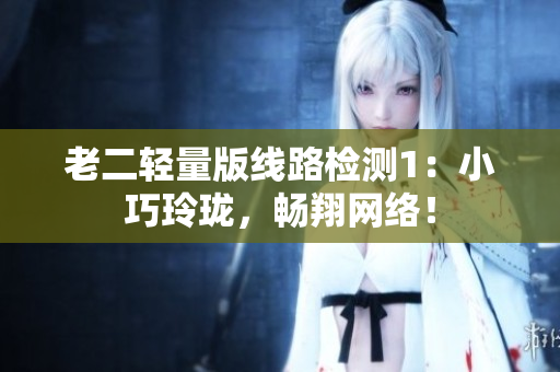 老二轻量版线路检测1：小巧玲珑，畅翔网络！