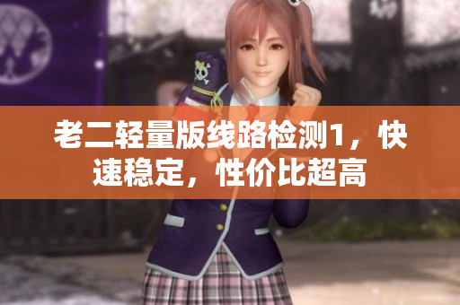 老二轻量版线路检测1，快速稳定，性价比超高