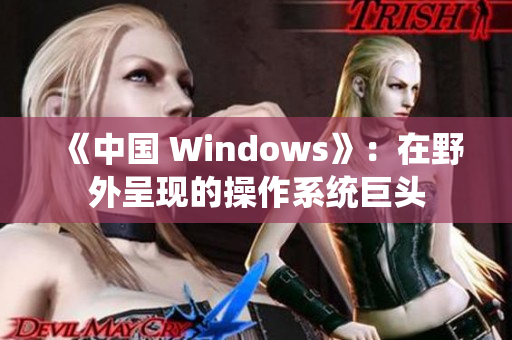 《中国 Windows》：在野外呈现的操作系统巨头