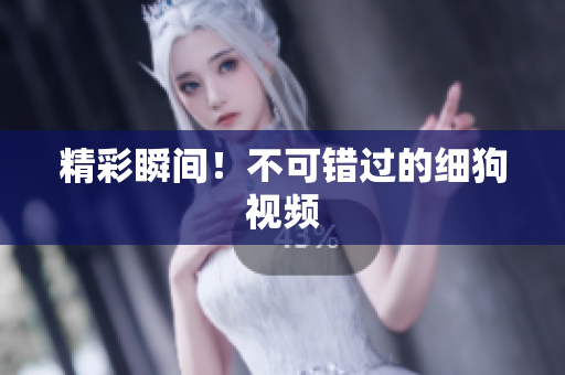 精彩瞬间！不可错过的细狗视频