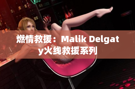 燃情救援：Malik Delgaty火线救援系列