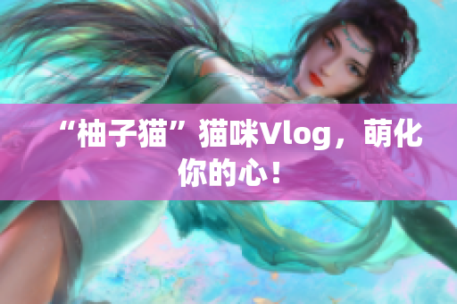 “柚子猫”猫咪Vlog，萌化你的心！
