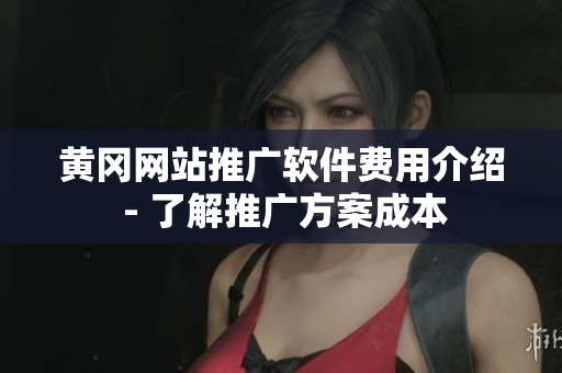 黄冈网站推广软件费用介绍 - 了解推广方案成本