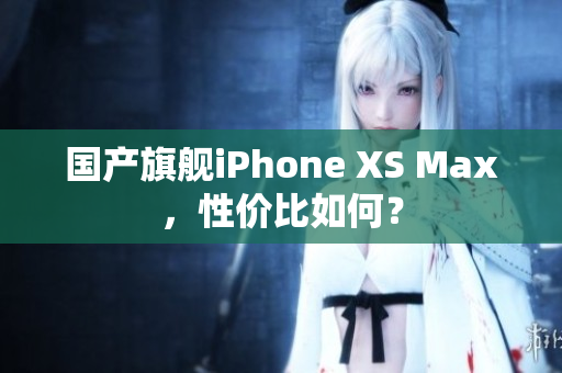 国产旗舰iPhone XS Max，性价比如何？