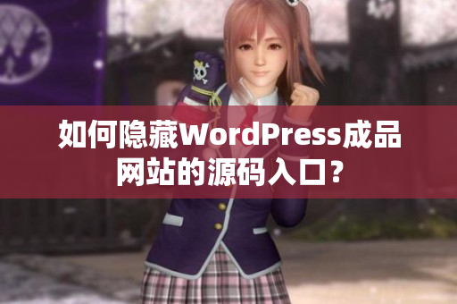 如何隐藏WordPress成品网站的源码入口？