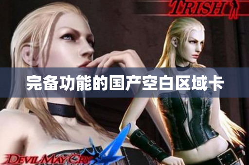 完备功能的国产空白区域卡