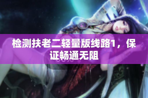 检测扶老二轻量版线路1，保证畅通无阻