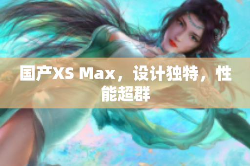 国产XS Max，设计独特，性能超群