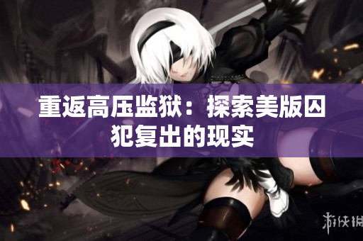 重返高压监狱：探索美版囚犯复出的现实