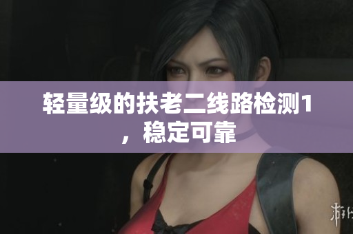 轻量级的扶老二线路检测1，稳定可靠