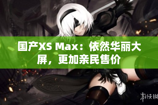 国产XS Max：依然华丽大屏，更加亲民售价