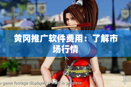 黄冈推广软件费用：了解市场行情