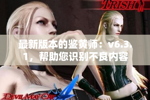 最新版本的鉴黄师：v6.3.1，帮助您识别不良内容