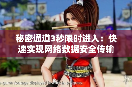 秘密通道3秒限时进入：快速实现网络数据安全传输