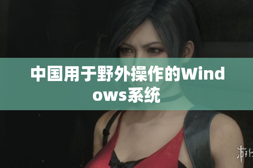 中国用于野外操作的Windows系统