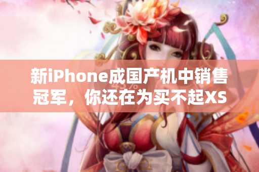 新iPhone成国产机中销售冠军，你还在为买不起XSMax而发愁吗？