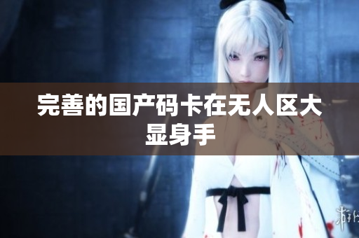 完善的国产码卡在无人区大显身手