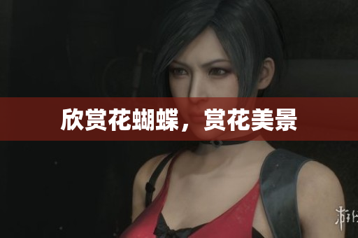 欣赏花蝴蝶，赏花美景