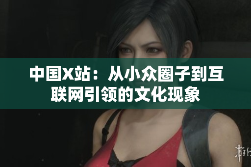 中国X站：从小众圈子到互联网引领的文化现象