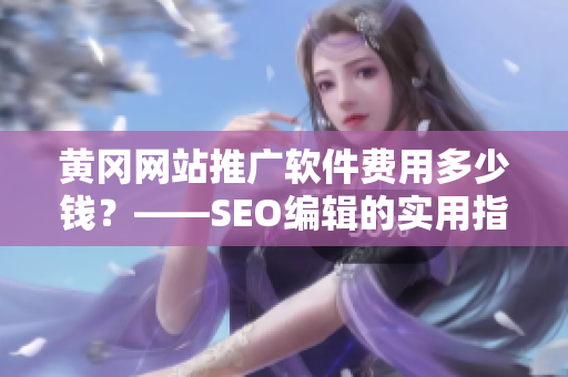 黄冈网站推广软件费用多少钱？——SEO编辑的实用指南