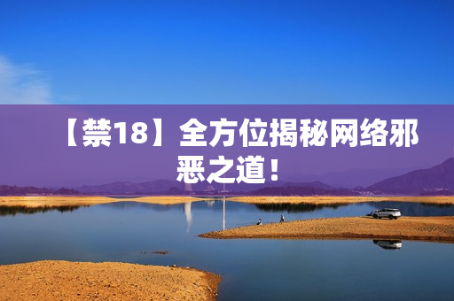 【禁18】全方位揭秘网络邪恶之道！