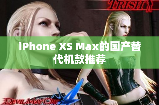 iPhone XS Max的国产替代机款推荐