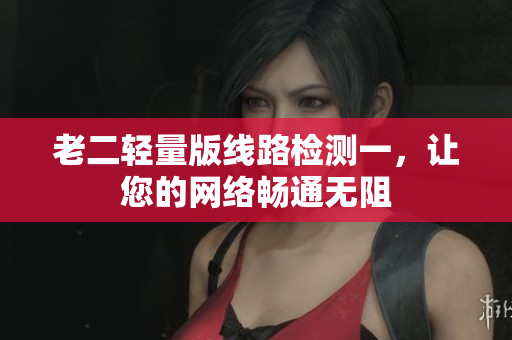 老二轻量版线路检测一，让您的网络畅通无阻