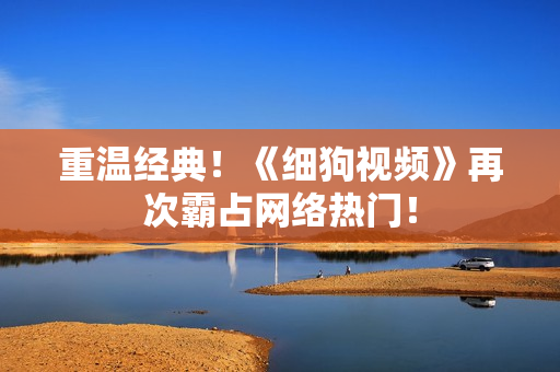 重温经典！《细狗视频》再次霸占网络热门！