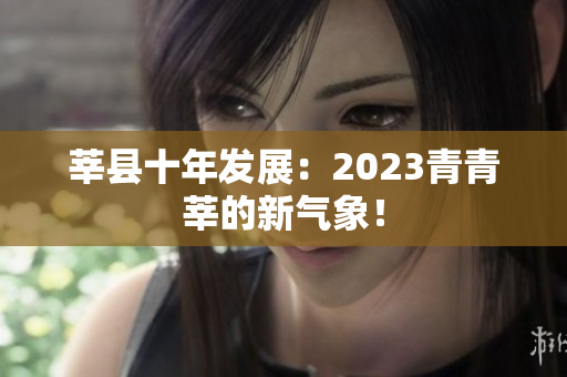 莘县十年发展：2023青青莘的新气象！