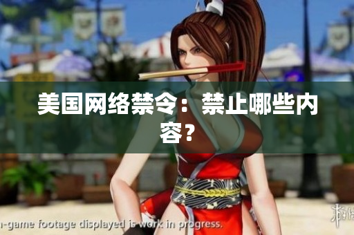 美国网络禁令：禁止哪些内容？