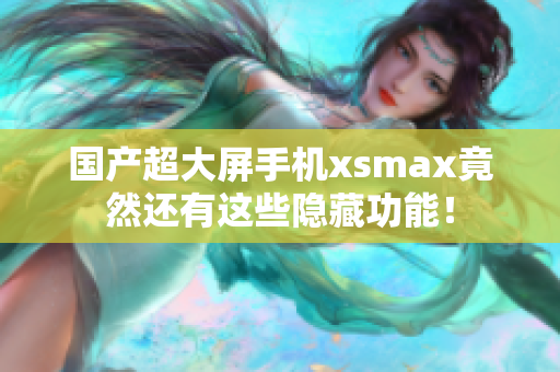 国产超大屏手机xsmax竟然还有这些隐藏功能！