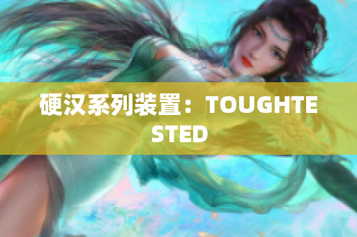 硬汉系列装置：TOUGHTESTED