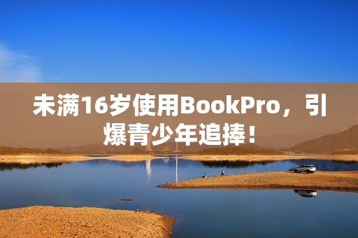 未满16岁使用BookPro，引爆青少年追捧！