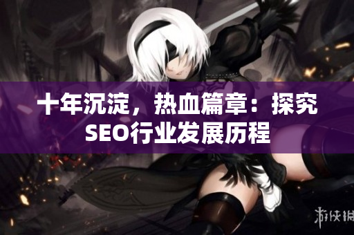 十年沉淀，热血篇章：探究SEO行业发展历程
