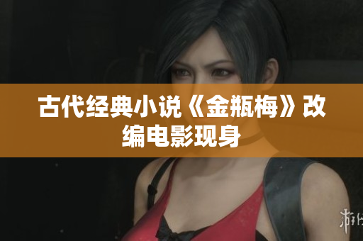 古代经典小说《金瓶梅》改编电影现身