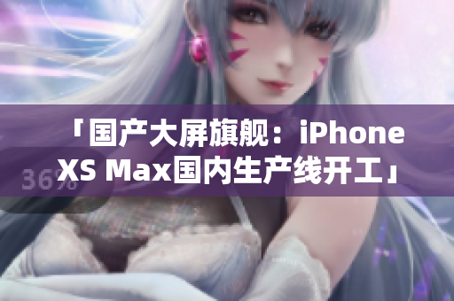「国产大屏旗舰：iPhone XS Max国内生产线开工」