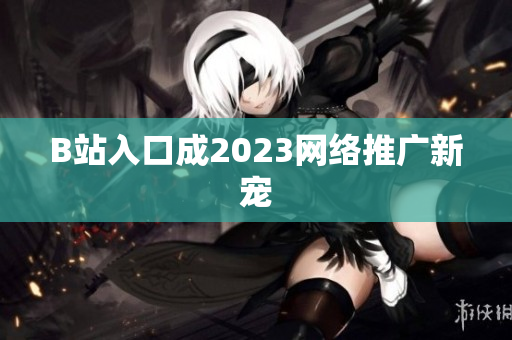 B站入口成2023网络推广新宠