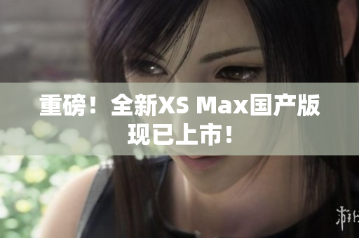 重磅！全新XS Max国产版现已上市！
