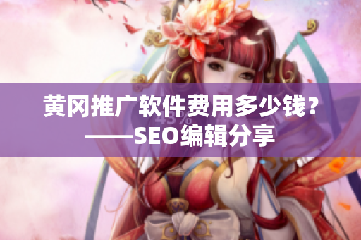 黄冈推广软件费用多少钱？——SEO编辑分享