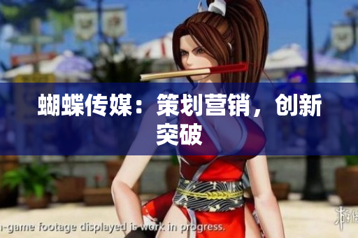 蝴蝶传媒：策划营销，创新突破